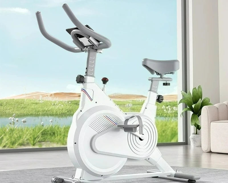 Be suitable for Full Coverage Spinning Bike, Home Ultra Quiet Fitness Indoor Aerobic Exercise Bikecustomizable - GilloServ