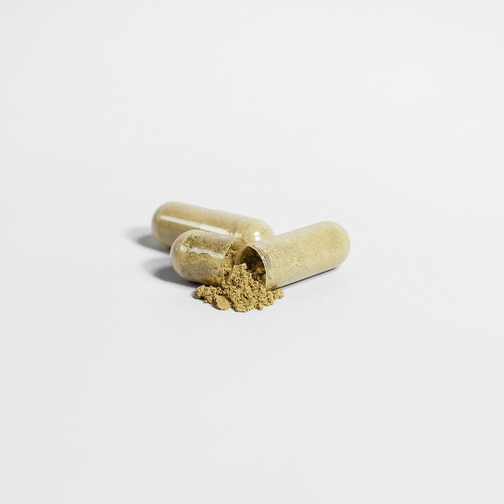Ginkgo Biloba Mood Booster for Brain Health and Mood Support