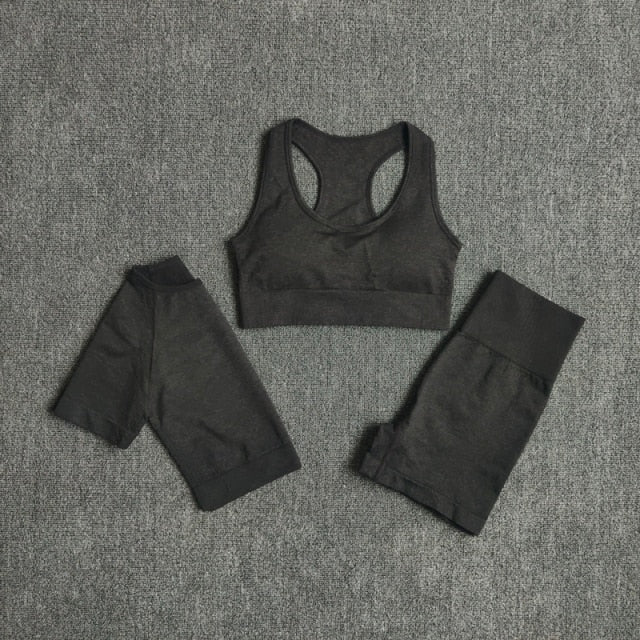 2/3/5PCS Seamless Women Yoga Set - GilloServ
