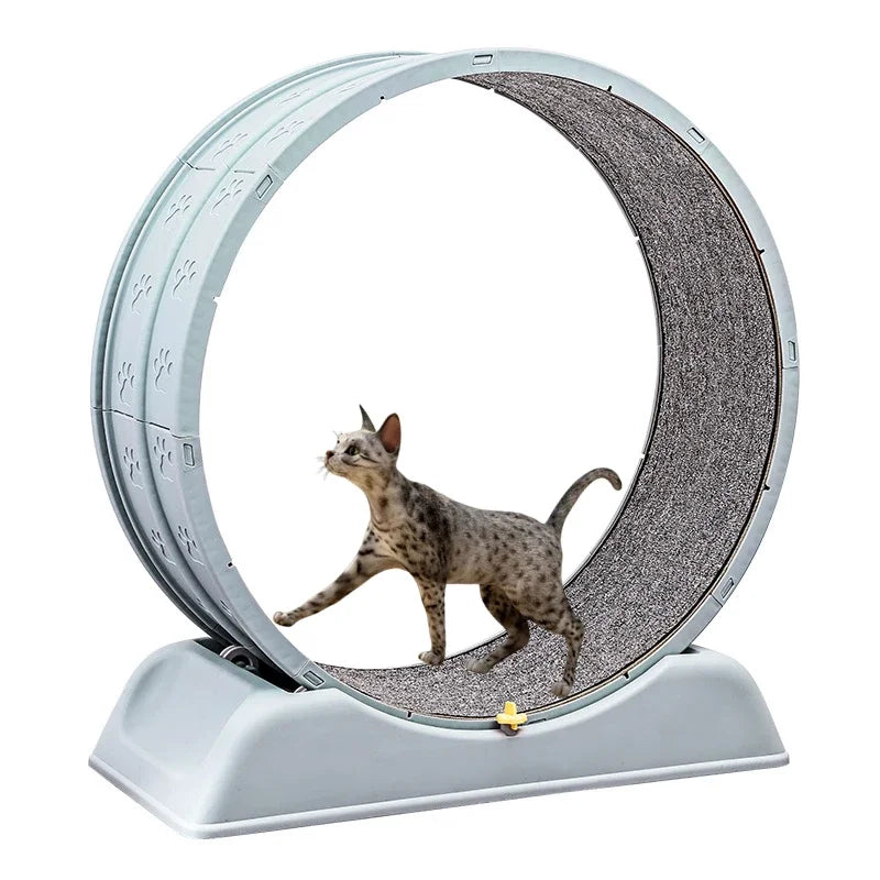 Silent Cat Treadmill Running Wheel Large Pet Supplies Anti Pinch Foot Exercise - GilloServ