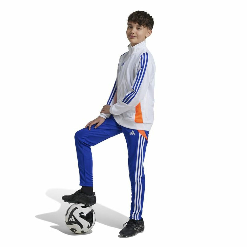 Long Sports Trousers Adidas Tiro24 Training Slim Blue - GilloServ