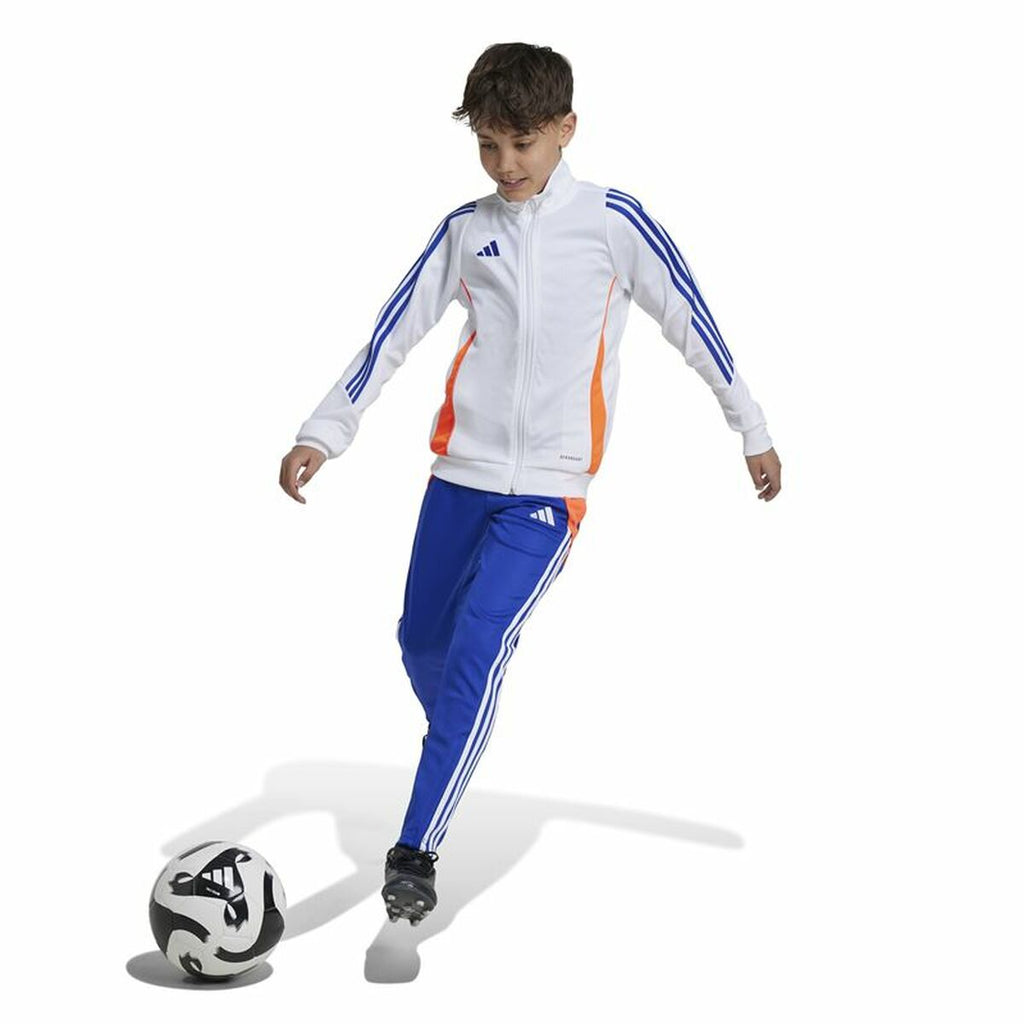 Long Sports Trousers Adidas Tiro24 Training Slim Blue - GilloServ