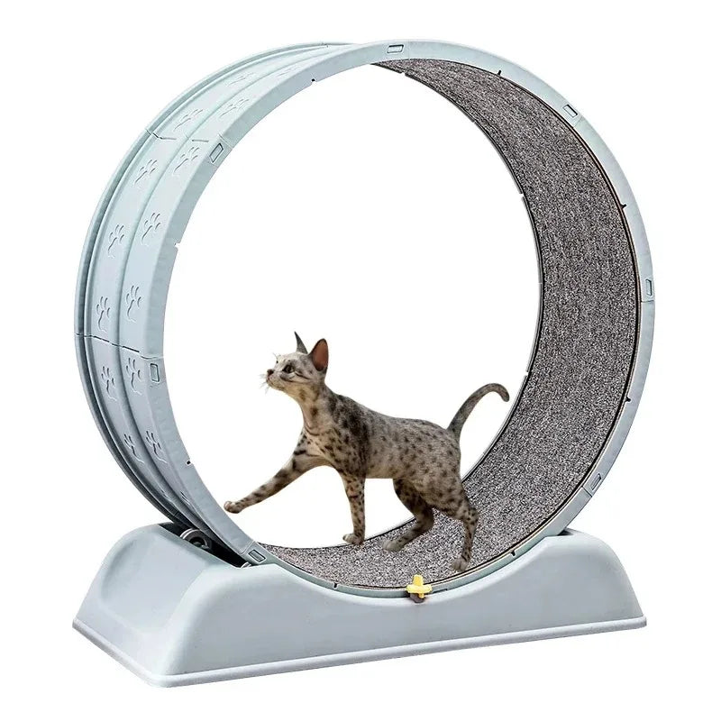 Cat Treadmill Silent Pet Fitness Roller Foot Exercise Running Wheel - GilloServ