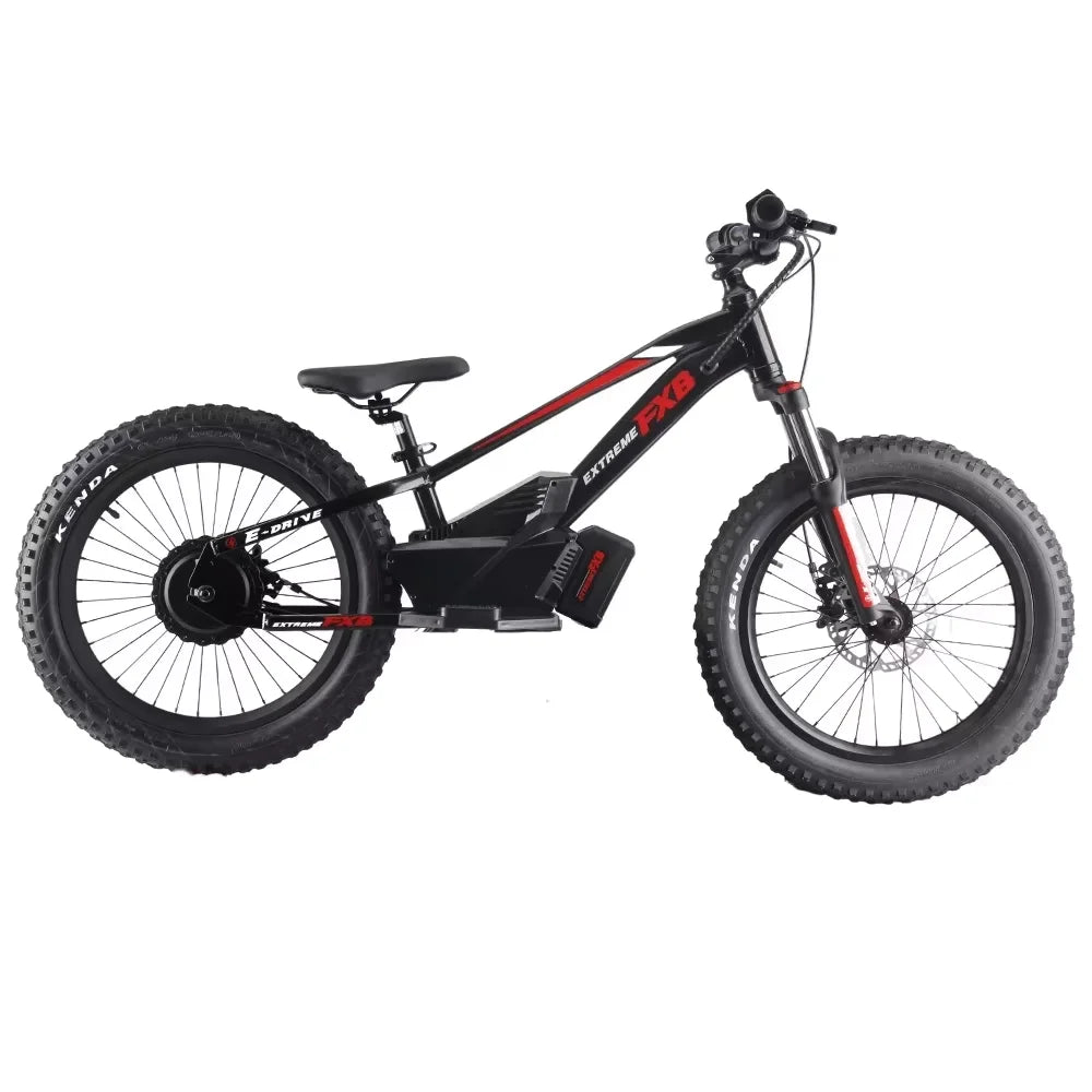 New model Electric Balance Bike with 20-Inch off road bikes Removable Battery E-bikes - GilloServ