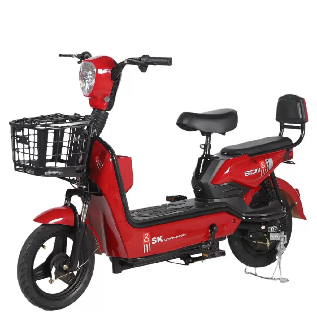 Best-Selling Lightweight Two-Wheeled Electric Bike - GilloServ