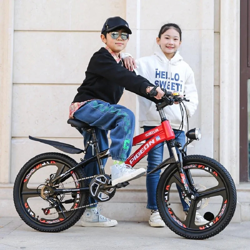Mountain Bike with Shock Absorption - GilloServ
