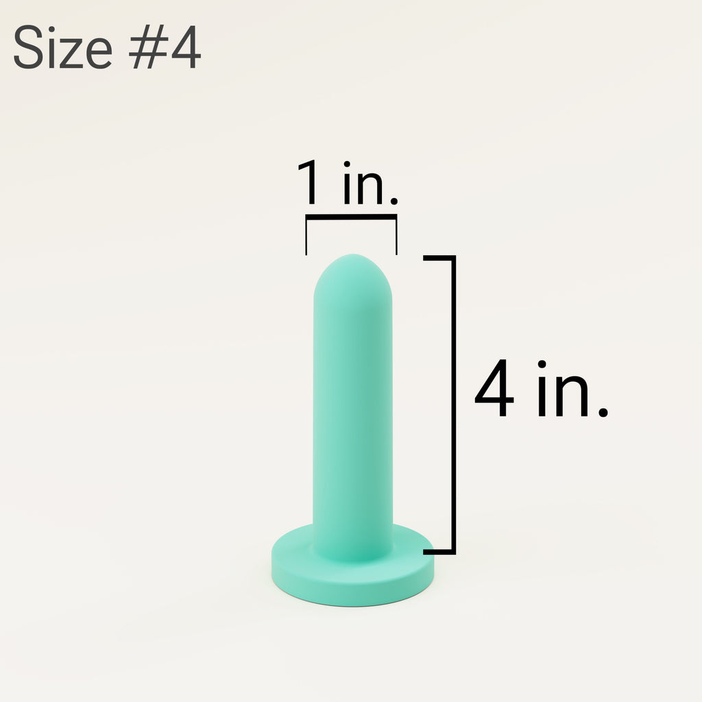 Source Silicone Pelvic Trainers - Medium Set - GilloServ