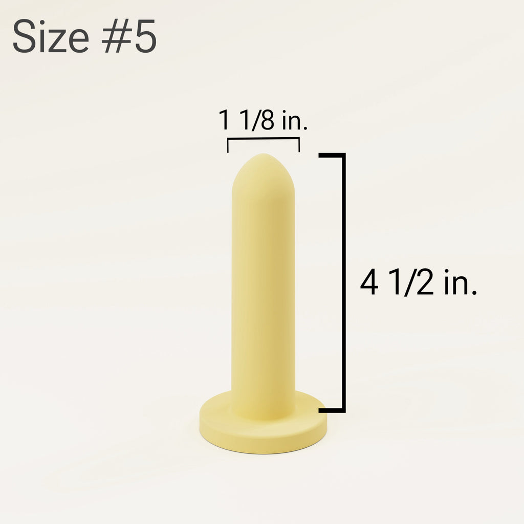 Source Silicone Pelvic Trainers - Medium Set - GilloServ