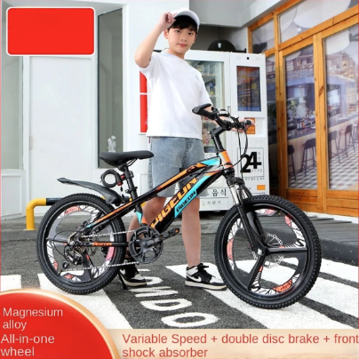 Youth Mountain Bikes with Disc Brakes - GilloServ