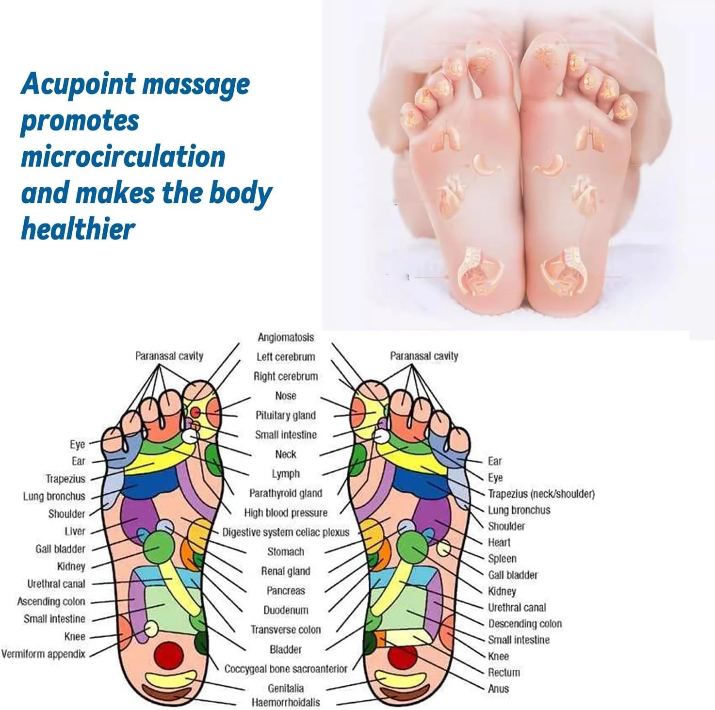 Medical Magnetic Therapy Sports Insoles Massage Foot Weight Loss - GilloServ