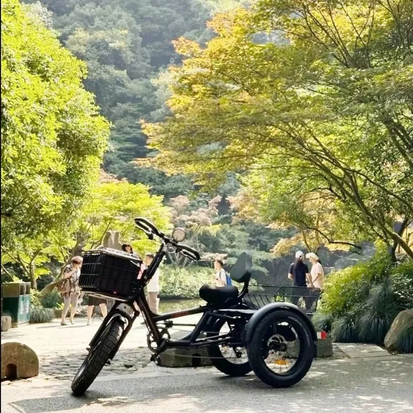 20 inch Electric Tricycle long-travel multi-purpose tricycle 3x3 driving force - GilloServ