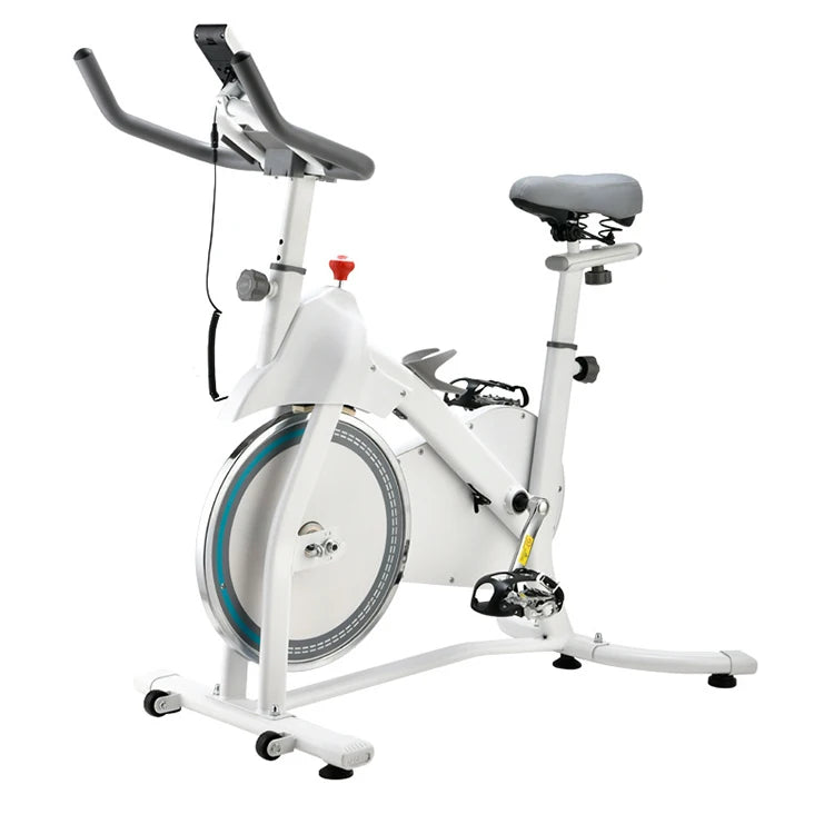 Dynamic Spinning Bike Physiotherapy Freewheel Exercise Bike Stationary Bike with Monitor Mount - GilloServ