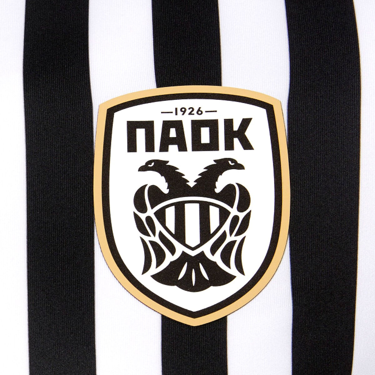 PAOK Thessaloniki Home soccer jersey 2020/21 - Macron-2