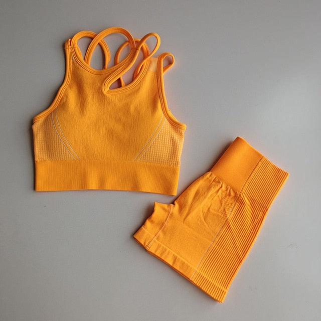 2pcs Seamless Yoga Sets Women Sport Wear - GilloServ
