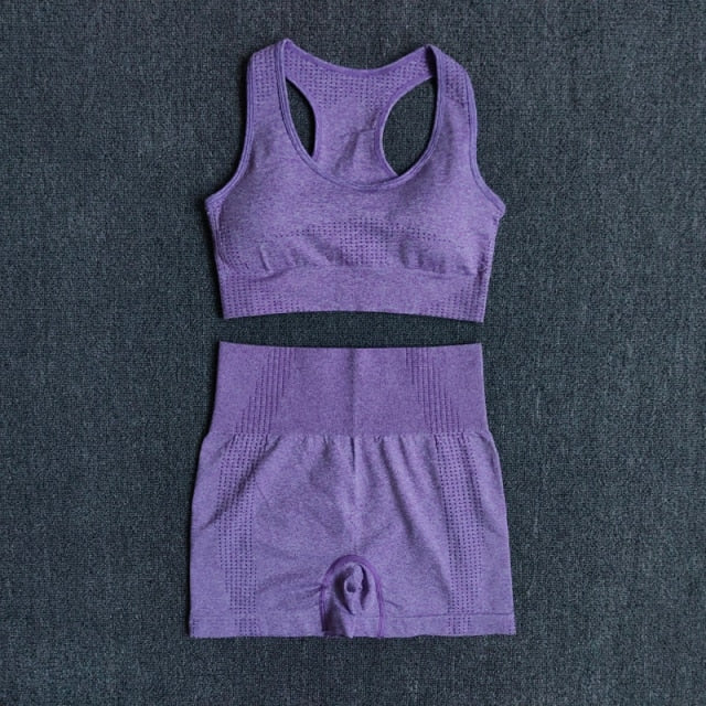 Seamless 2PCS Yoga Set Sports Bra High Waist Fitness Gym Shorts - GilloServ