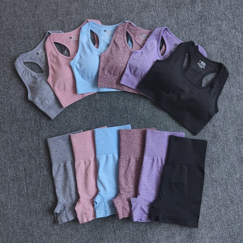 Seamless 2PCS Yoga Set Sports Bra High Waist Fitness Gym Shorts - GilloServ