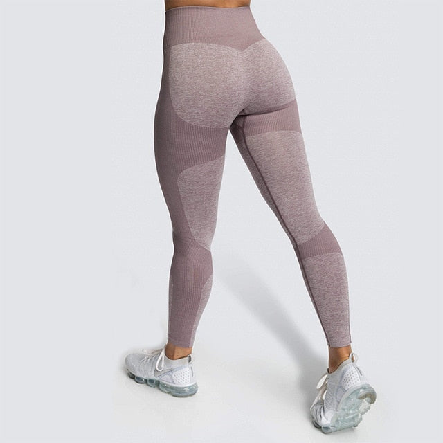 Lycra Seamless Yoga Set Women Fitness - GilloServ