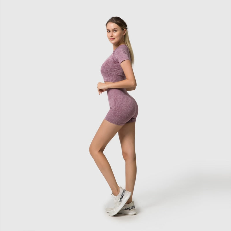 2/3/5PCS Seamless Women Yoga Set - GilloServ
