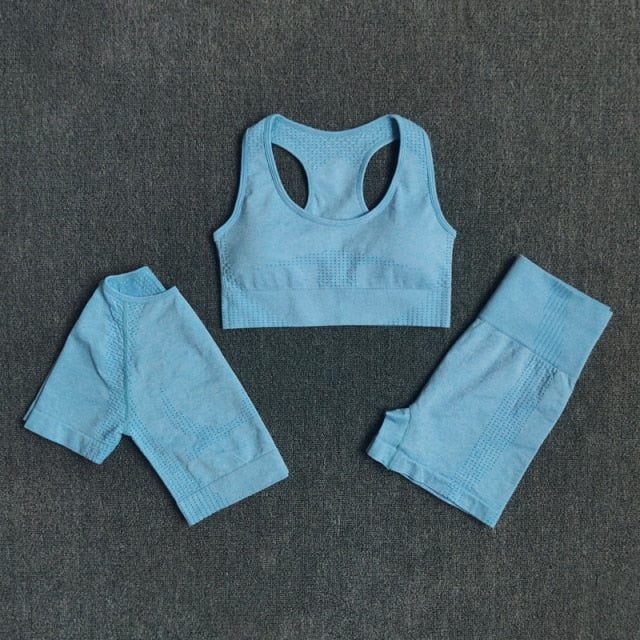 2/3/5PCS Seamless Women Yoga Set - GilloServ
