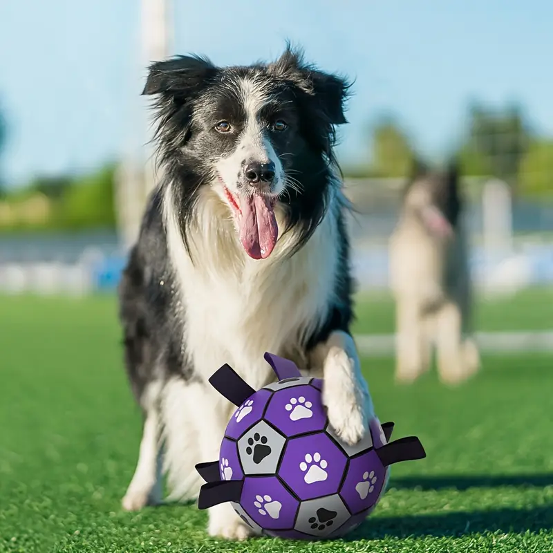 Rubber Dog//Durable Soccer Ball with Straps - GilloServ