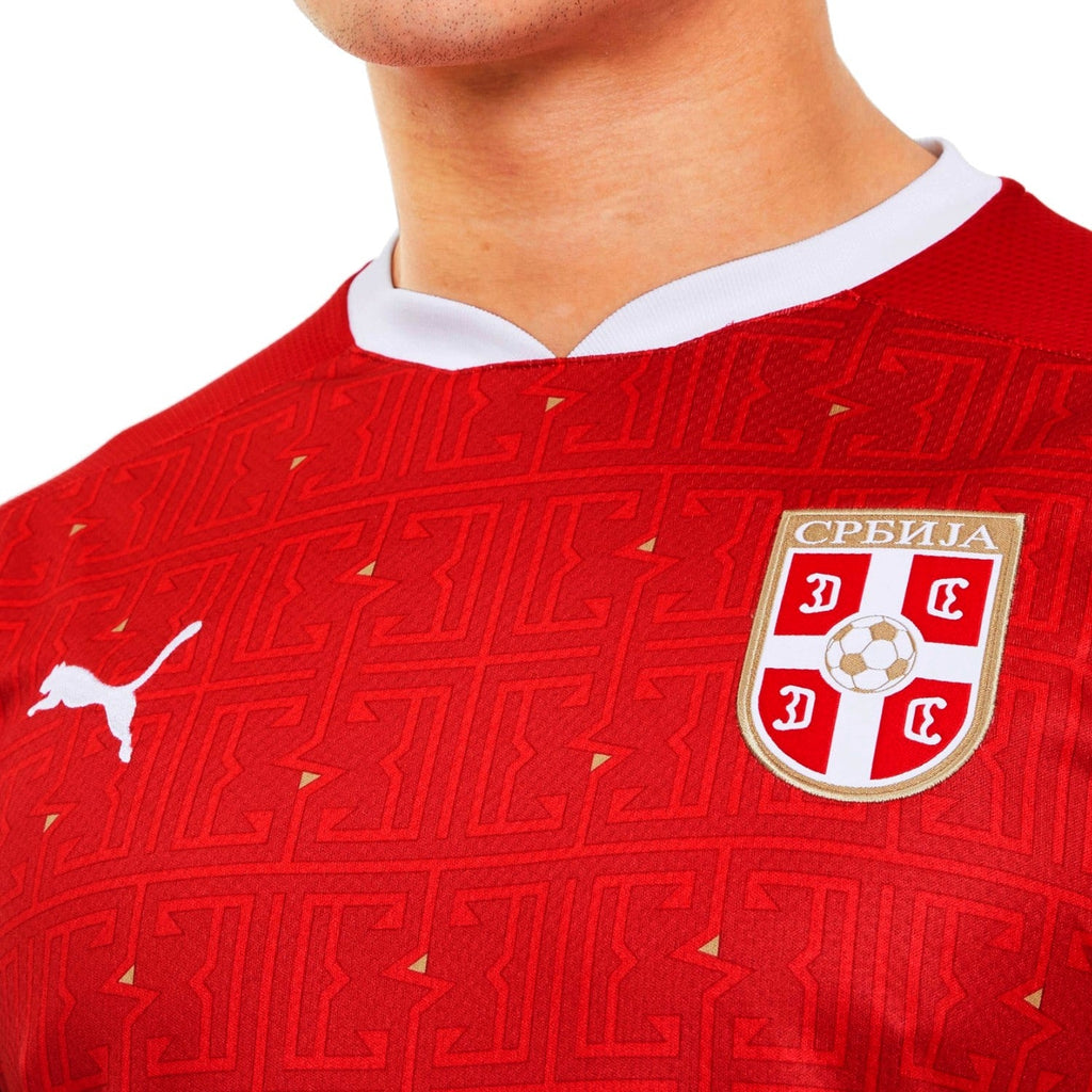 Serbia national team Home soccer jersey 2020/21 - Puma-2